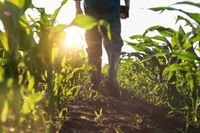 Landwirtschaftliche Fläche in Reichertshausen-Langwaid! Bayern - Reichertshausen Vorschau