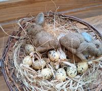 Deko Ostern Nest Eier Hasen neuwertig Baden-Württemberg - Königsfeld Vorschau