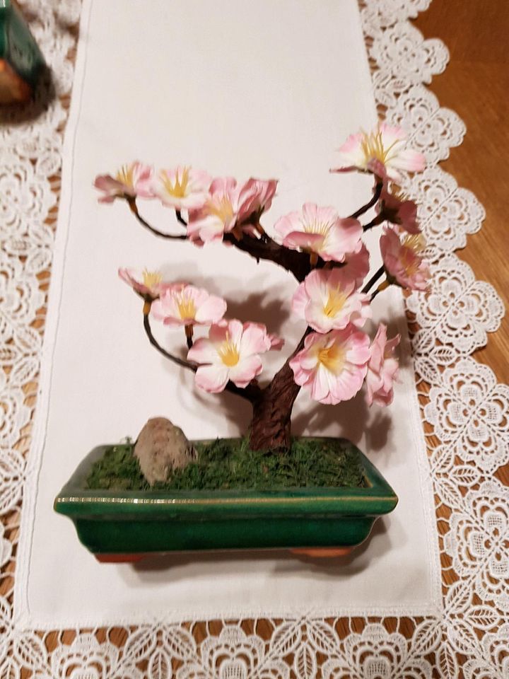 2 Kunstbonsai Kirschblüte in Penzlin