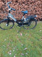 Gazelle chamonix C7 Damenfahrrad Niedersachsen - Rastede Vorschau