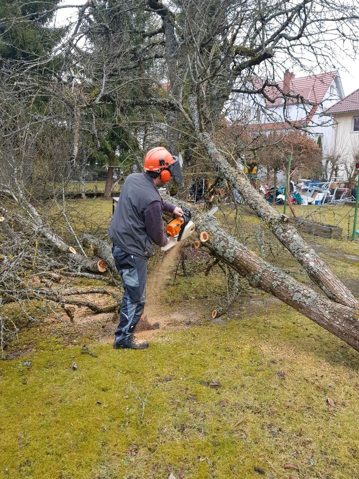 Wir bieten Ihnen einen Hausmeisterservice an in Villingen-Schwenningen