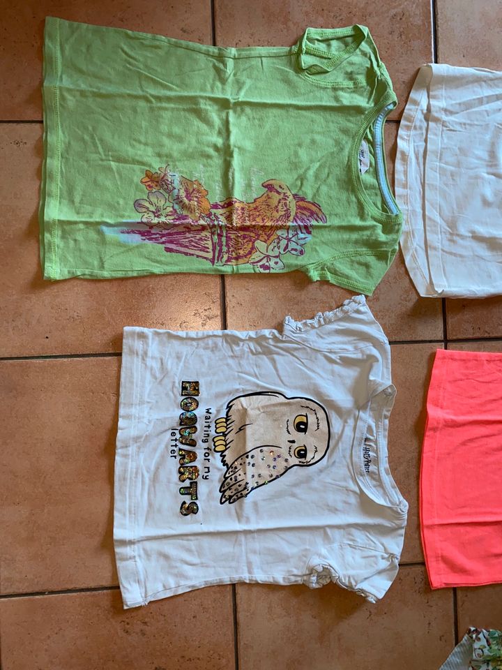 Tshirt Paket gr 122/128 Mädchen Tiere Eule Pferd in Rudolstadt