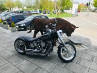 Harley Softail  Deluxe 300 Umbau Bayern - Geiselhöring Vorschau