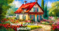 SUCHE Whg ab 40 m² bis 650 € warm - Hilfe im Haus/Garten möglich Baden-Württemberg - Rheinstetten Vorschau