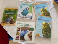 Bücher , Wellensittiche Bücher Schleswig-Holstein - Schulendorf Vorschau