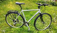 Trekkingrad Technium 29 Zoll silber Shimano leichtes Fahrrad Hessen - Fulda Vorschau