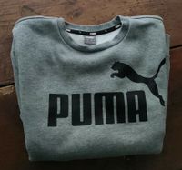 Pullover, Puma, 164 Rheinland-Pfalz - Ochtendung Vorschau