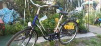 Damen Fahrrad 26 Zoll Mecklenburg-Vorpommern - Neubrandenburg Vorschau