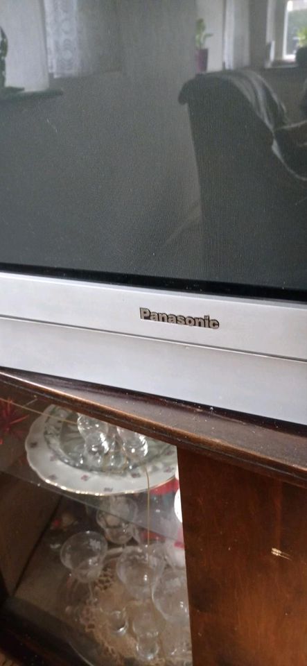 TV Röhre Panasonic in Lauf a.d. Pegnitz