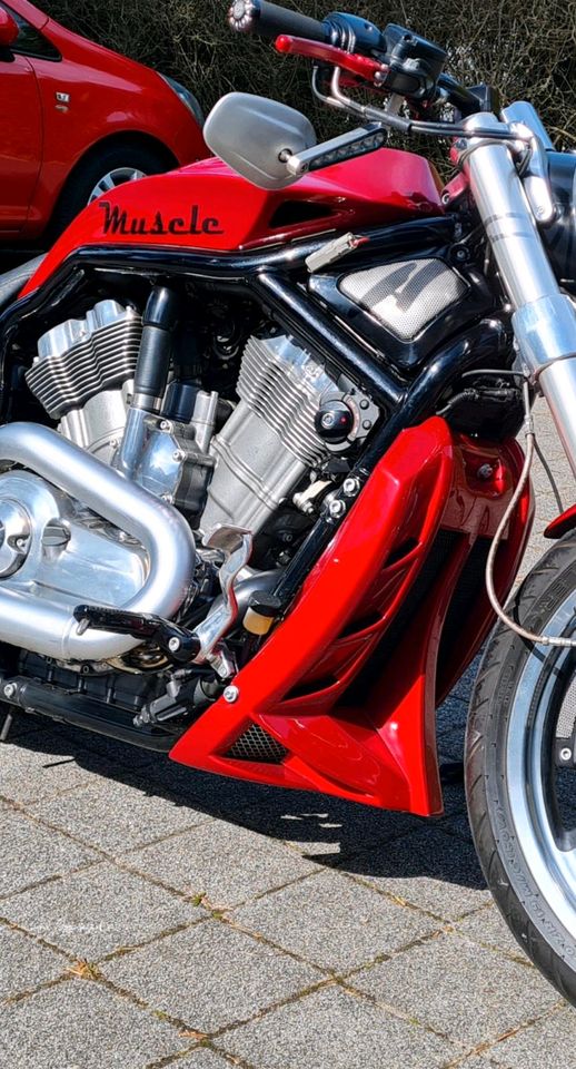 Harley-Davidson V-Rod Muscle Custom in Hamburg