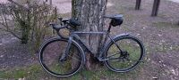 Fahrrad  28" Zoll FOCUS für Damen und Herren Altona - Hamburg Osdorf Vorschau