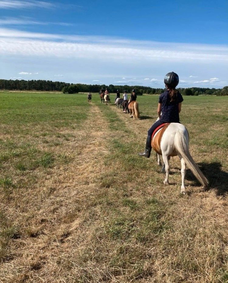 Reittag für die ganze Familie in Spreenhagen