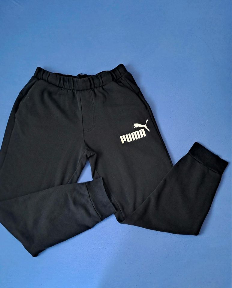 Damen Puma  Sport Jogginghose,Sport Hose Gr.M sehr gut in Marburg