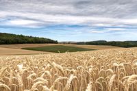 Ackerland Acker Grünland Wiese Kr. Dachau - Bergkirchen Vorschau