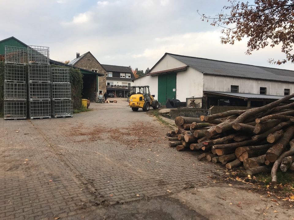 Kaminholz Brennholz Kammer getrocknet TROCKEN Buche Esche in Dortmund