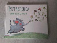 Buch (Jetzt bist du da - Deine ersten 12 Monate) Bayern - Schwabmünchen Vorschau