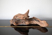 Treibholz Schwemmholz zur Deko oder als Skulptur Länge ca. 40 cm Hessen - Neckarsteinach Vorschau