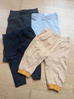 Leggins/ dünne Hosen für Babys Größe 74 Nordrhein-Westfalen - Mechernich Vorschau