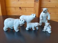 Schleich Eisbären Hessen - Bad Soden-Salmünster Vorschau