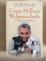 Welpenschule Buch Welpen Hundeerziehung César Millan Baden-Württemberg - Edingen-Neckarhausen Vorschau