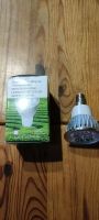 LED Lampe Sockel E14 4W "kaltweiss" (1,70 €/Stk) Niedersachsen - Wagenfeld Vorschau