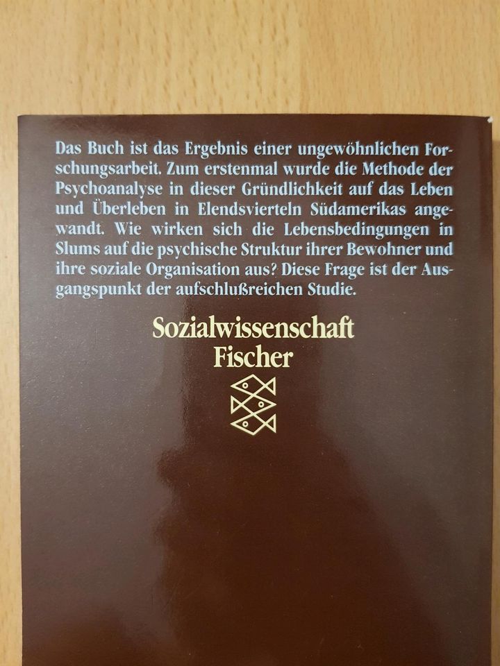 César Rodriguez Rabanal Überleben im Slum Psychologie Buch Bücher in Frankfurt am Main