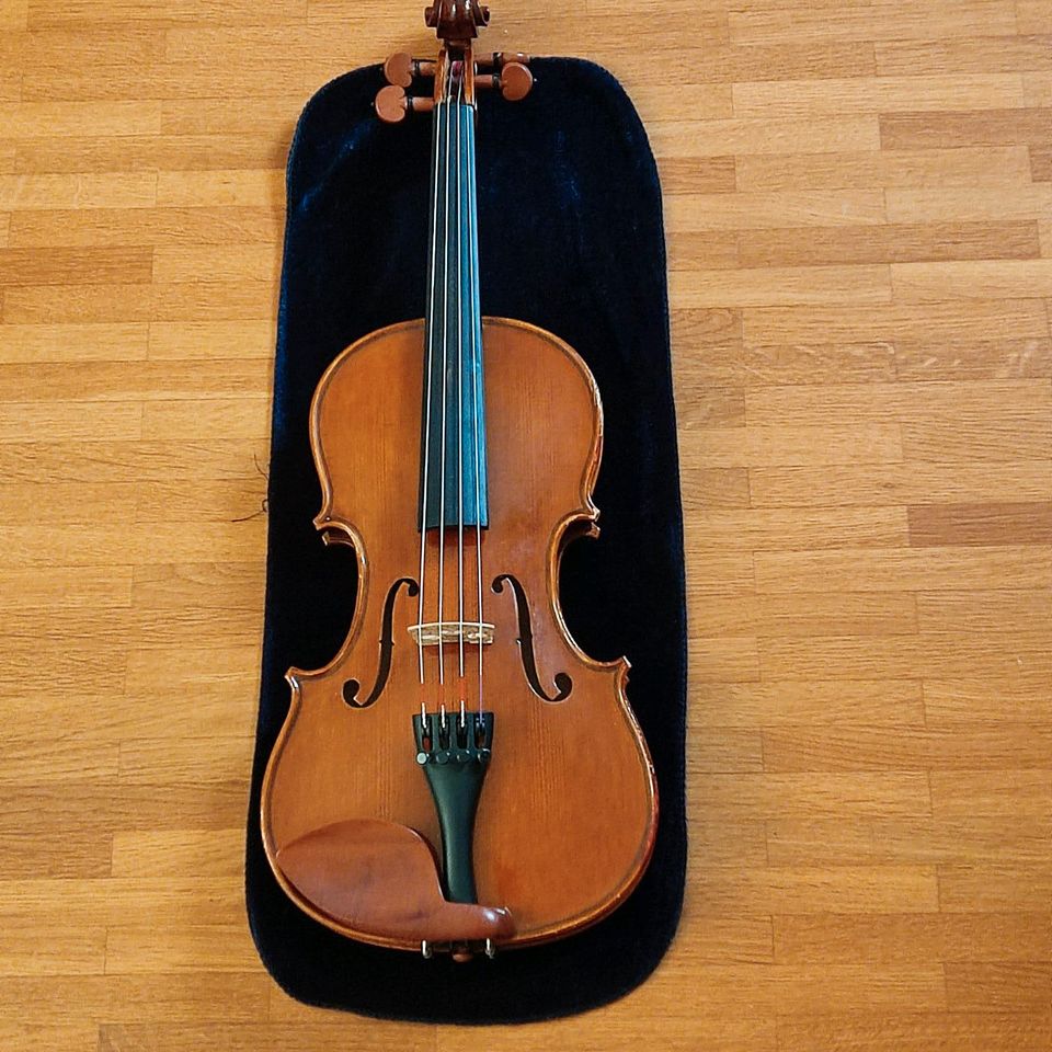Geige 1/2 Gewa Maestro Mittenwald in Freiburg im Breisgau
