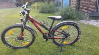 Bulls Mountainbike Fahrrad 26 Zoll Sachsen-Anhalt - Niemberg Vorschau