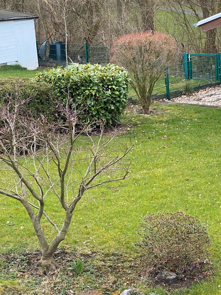 Benötigen Sie Hilfe bei der Gartenarbeit? in Bochum