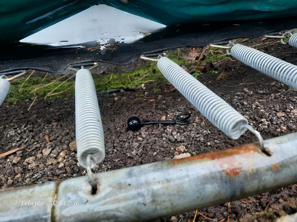 Trampolin Firma Berg in Dresden