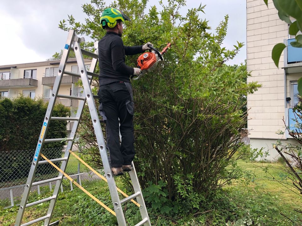 Garten Service, Hecken schneiden in Rosenheim