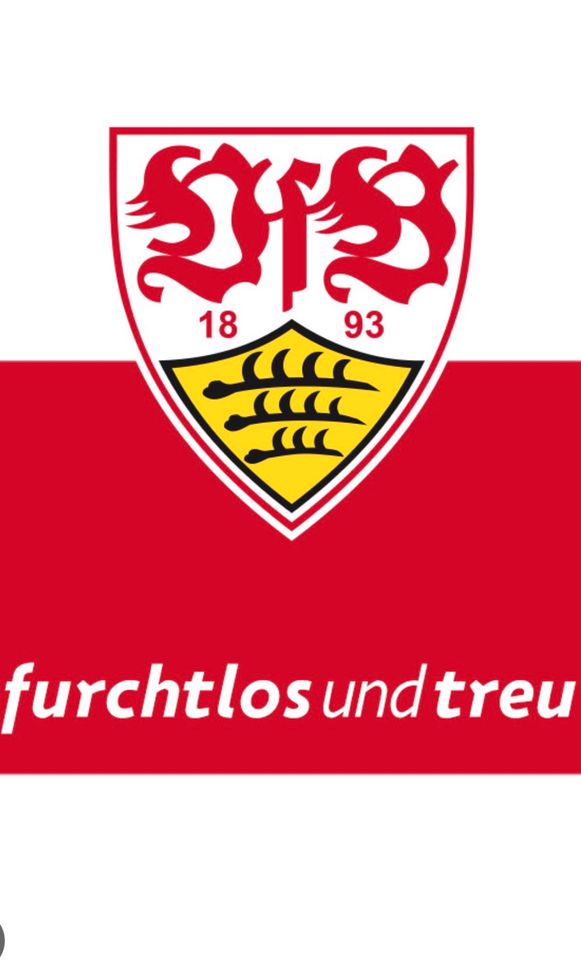 VfB Dauerkarten Saison 24/25 (Ich suche) in Winnenden
