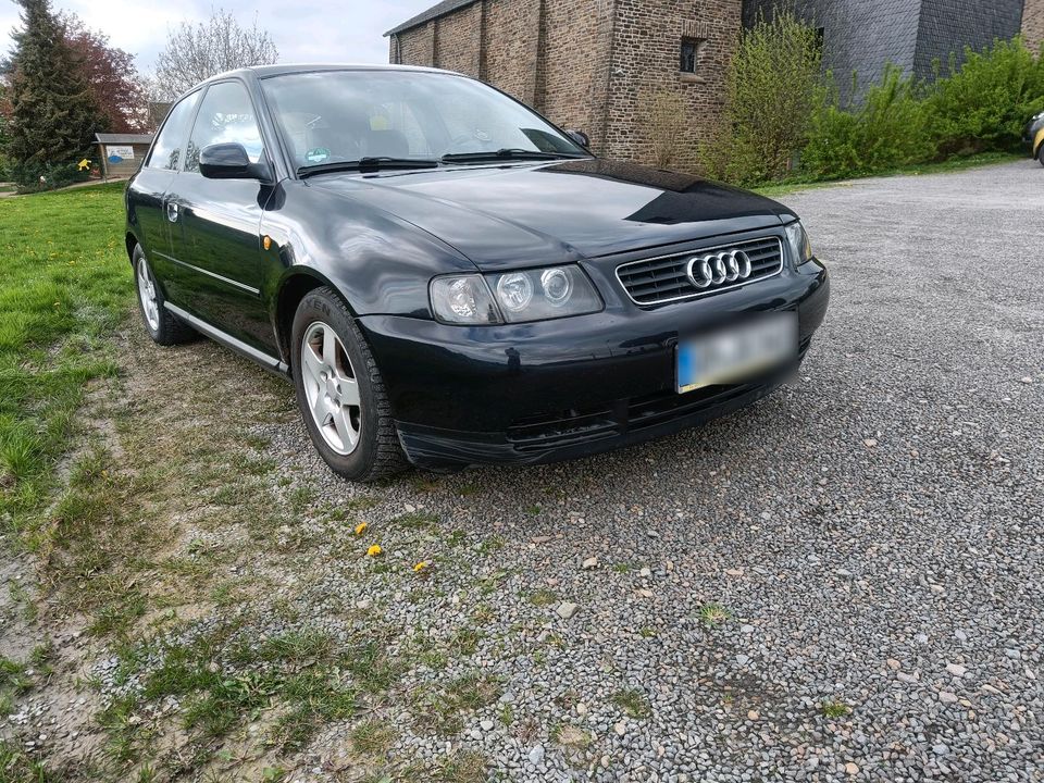 Audi A3 8l 1.6 gepflegter Zustand in Lindlar