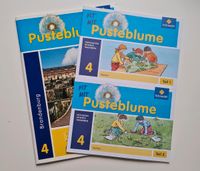 Pusteblume 4 Nordrhein-Westfalen - Detmold Vorschau