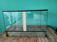 Terrarium 60x40x40 München - Thalk.Obersendl.-Forsten-Fürstenr.-Solln Vorschau