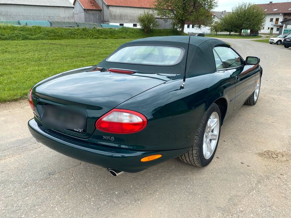 Jaguar XK8 Cabrio Grün Beige in München