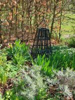 2 Schmiedeeiserne Rankhilfe Obelisk Deko Niedersachsen - Bersenbrück Vorschau