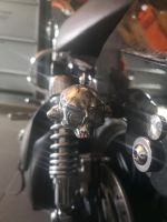 SUCHE Motorrad Blinker skull in Chrome von Louis Baden-Württemberg - Satteldorf Vorschau