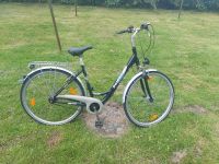 Fahrrad 28 Zoll Schleswig-Holstein - Glückstadt Vorschau