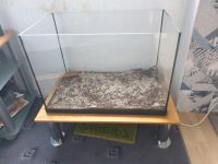 Terrarium Aquarium Hamsterkäfig 60l Nordrhein-Westfalen - Steinfurt Vorschau