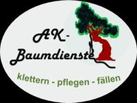 Baumfällung,  Baum fällen, Baumpflege, Totholzentfernung Nordrhein-Westfalen - Euskirchen Vorschau