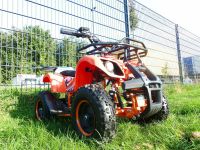 Kinder QUAD mit Gepäckträgern 800 Watt Elektroquad Nordrhein-Westfalen - Greven Vorschau