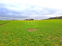 70 ha arrondierte landwirtschaftliche Flächen in Mittelhessen Hessen - Marburg Vorschau