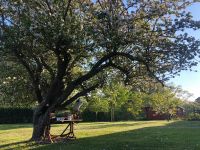 Fewo Ferienwohnung Rügen Ostsee Mecklenburg-Vorpommern - Sagard Vorschau