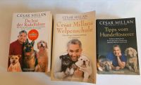 Cesar Millan Bücher je 4€ alle 3 für 10€ Baden-Württemberg - Eisingen Vorschau