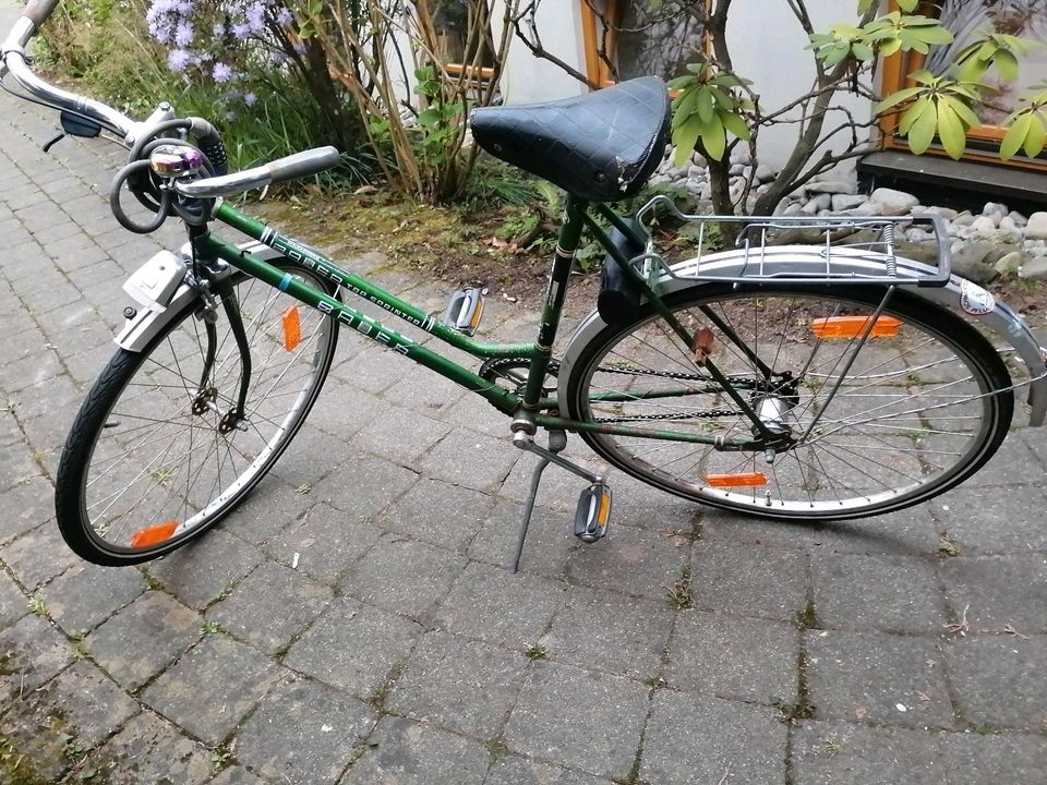 Altes Fahrrad in Uhldingen-Mühlhofen