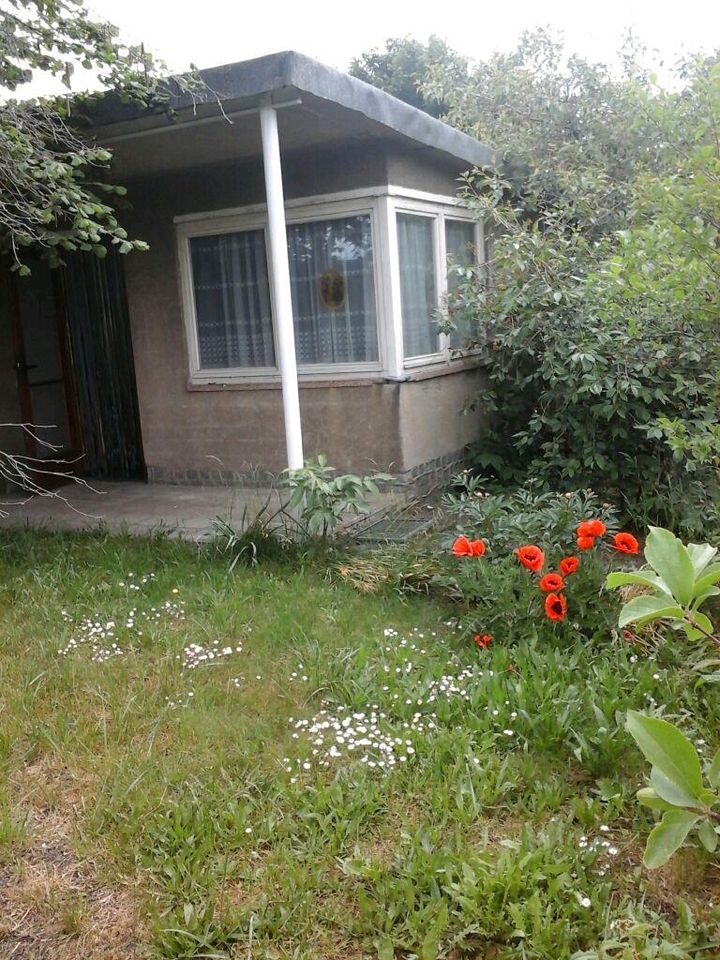 Laube Garten Bungalow Senftenberger See Kleingarten in Senftenberg