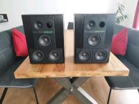 DDR RFT BR 50 Hifi Lautsprecher Sachsen - Waldheim Vorschau