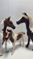 Schleich Pferde Set Niedersachsen - Oldenburg Vorschau