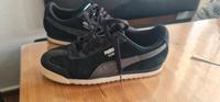 Puma Schuhe Gr.40 Nordrhein-Westfalen - Recklinghausen Vorschau